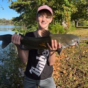 Meet your Posher, Gavin